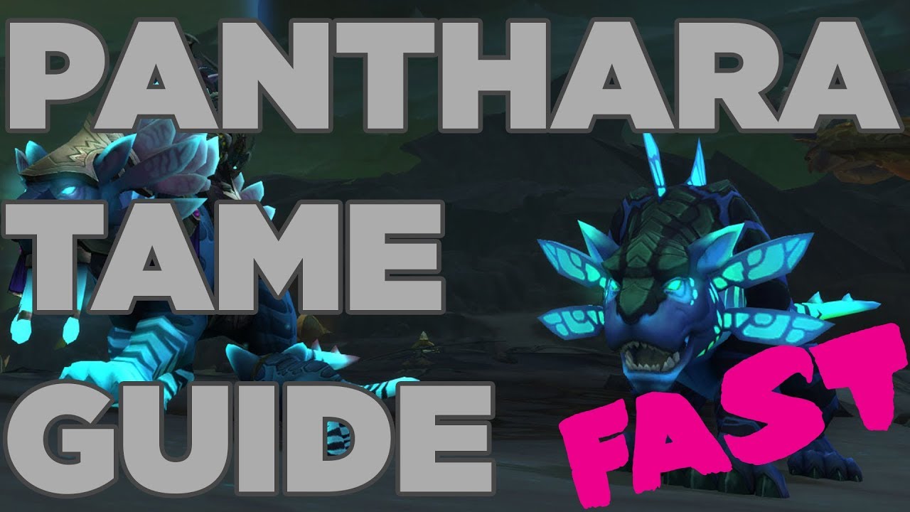 How To Tame Panthara – WoW 7.3 Hunter Pet