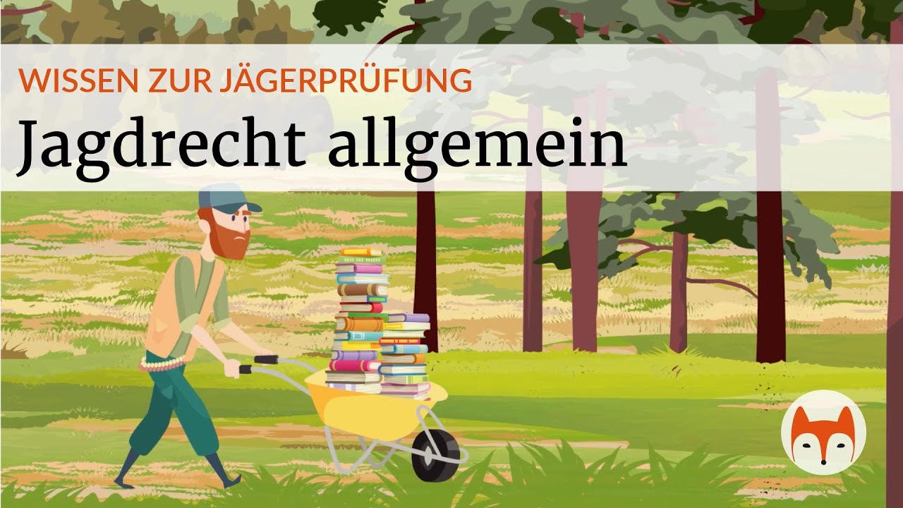 Jagdrecht einfach erkl&auml;rt &ndash; &sect;1 & &sect;2 BJagdG, Wildarten, Hochwild & Niederwild