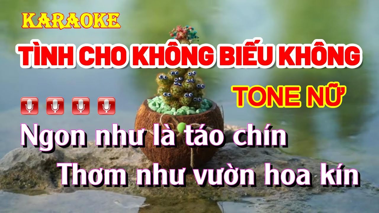 [KARAOKE] TÌNH CHO KHÔNG BIẾU KHÔNG | Tone nữ 2023 | Nhạc sống, beat chuẩn, phối mới, dễ hát