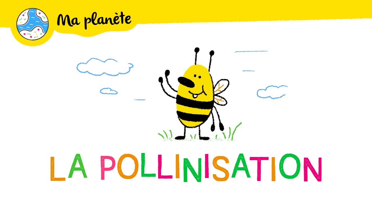La pollinisation expliquée aux enfants - Ma Planète #13