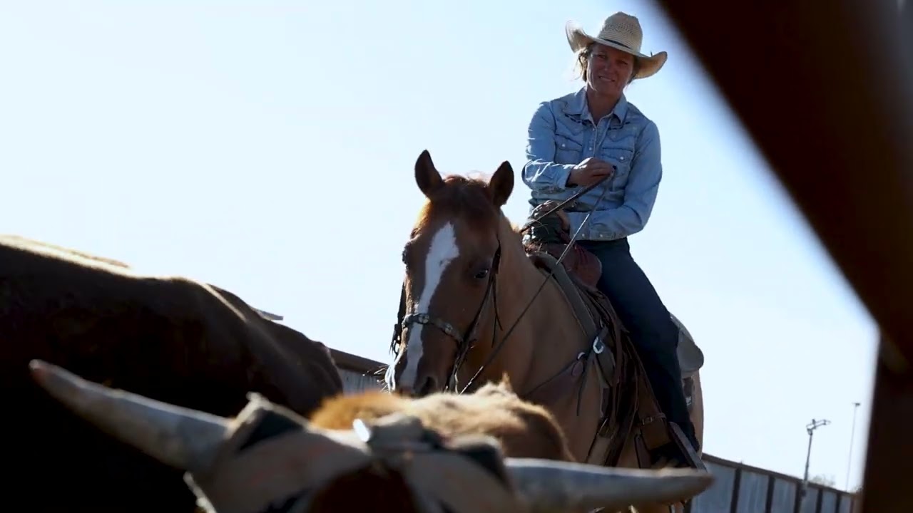 Seismic Cat - Hershberger Horse Sale Video