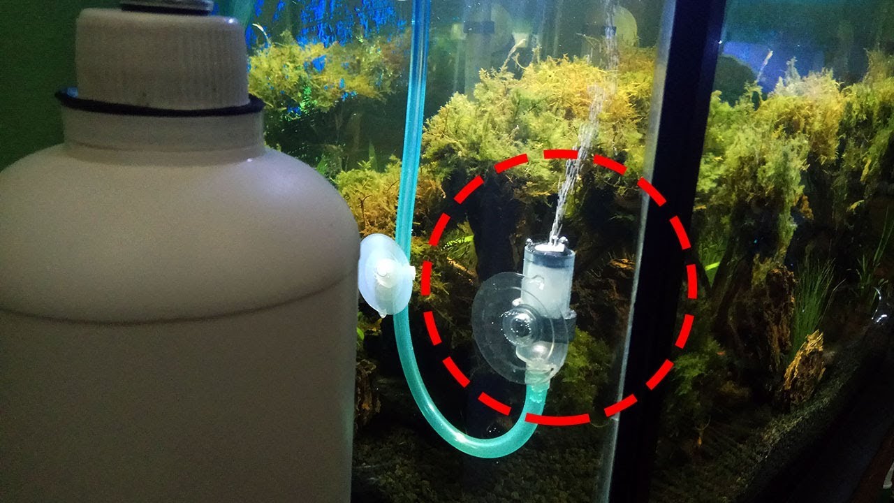 How to make DIY CO2 diffuser and bubble counter from syringe and cotton