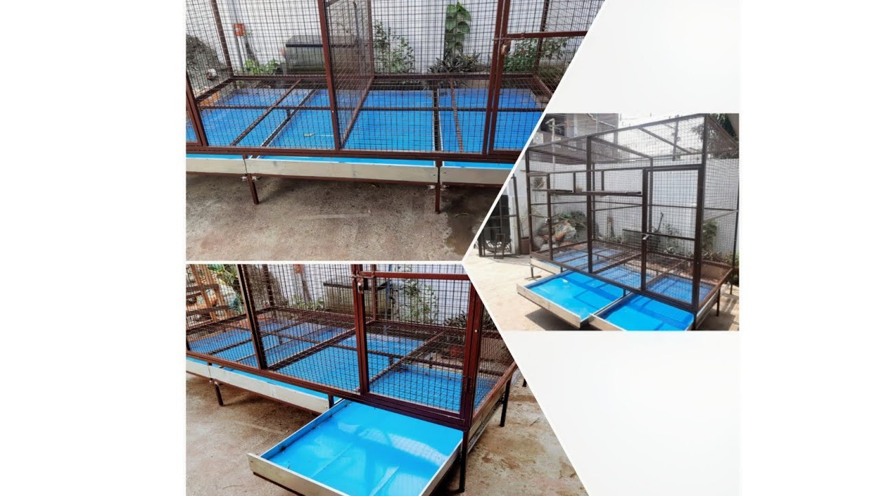 pigeon loft design tray system. easy to clean