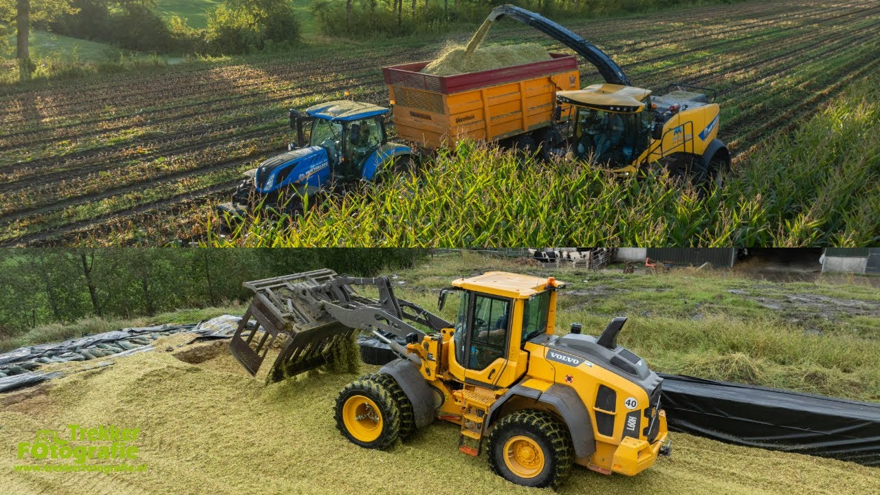 Maurice Land | Mais Hakselen 2024 | New Holland FR550 | Chopping Corn | Maisernte