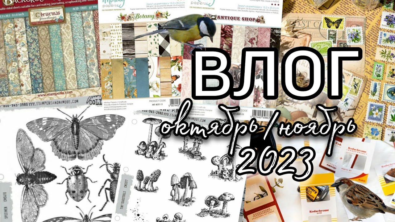 Влог октябрь/ноябрь 2023 // Покупки, процессы, сюрприз от Скрапмании + РОЗЫГРЫШ