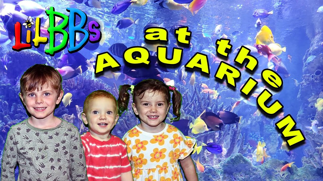 Visit the Vancouver Aquarium with the Lil BBs | Kids Family Vlog Adventure