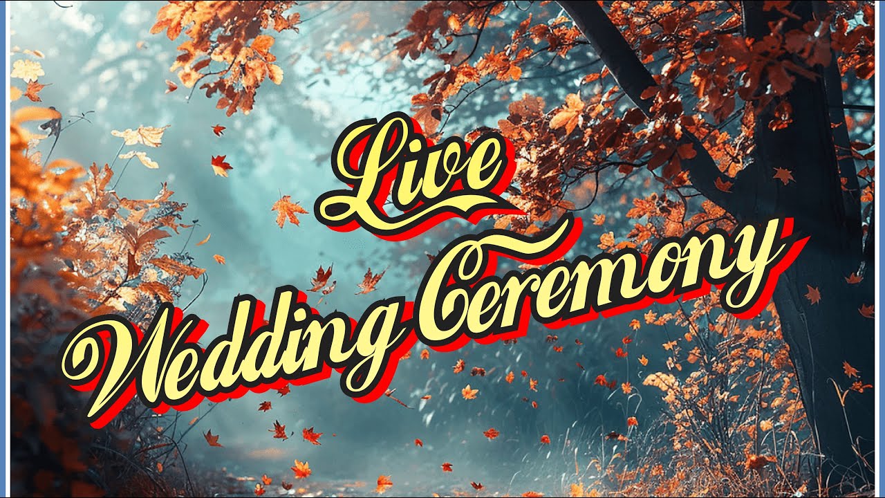 Live Wedding Ceremony // BY SHANAYRA FILMS M.98156 31731