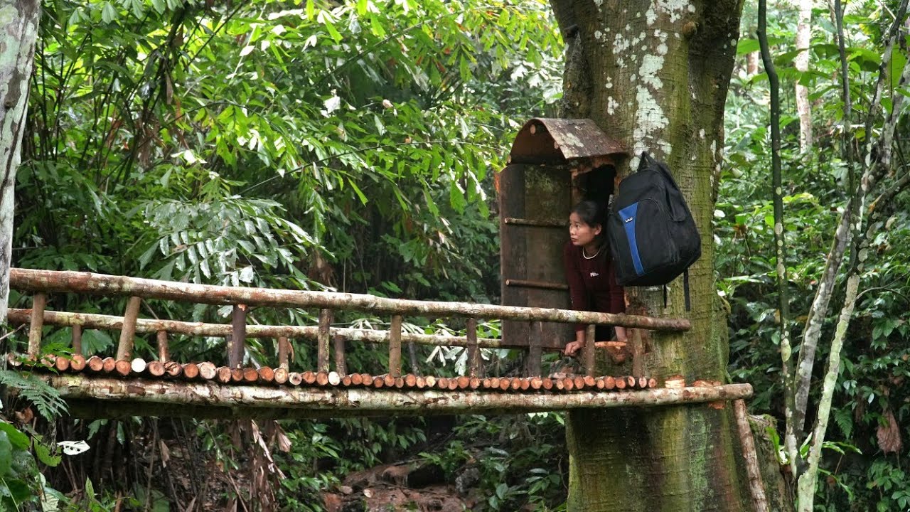 Unbelievable: The Woman Who Turned a Hollow Tree into a Dream Hom - Wild Beauty