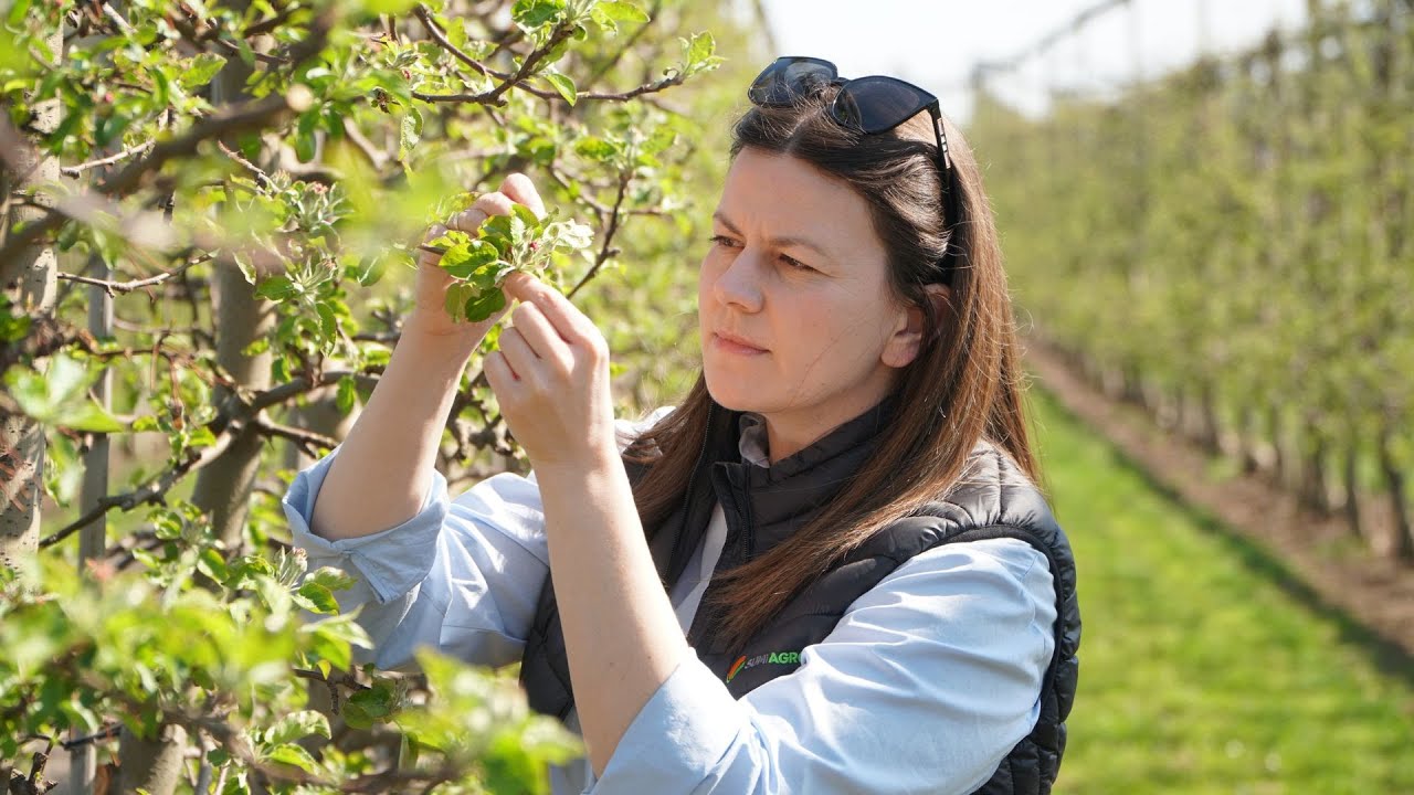 Problem z pordzewiaczem? Kiedy wykonać zabieg zwalczający? Justyna Wasiak, 15.04.2025