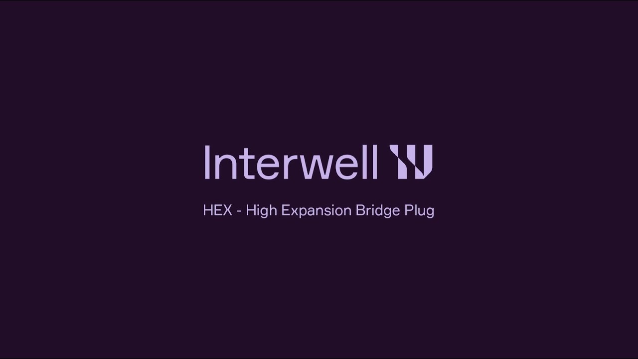 HEX High Expansion Retrievable Bridge Plug Animation
