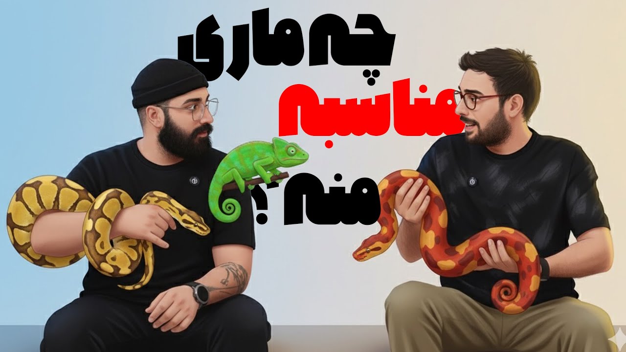 چه خزنده ای مناسبه منه ؟؟