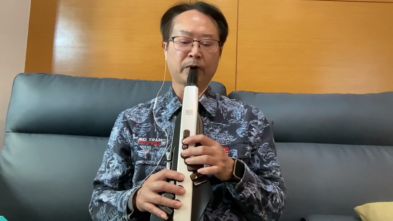 三月裡的小雨DJ版—劉文正—電吹管～豪哥