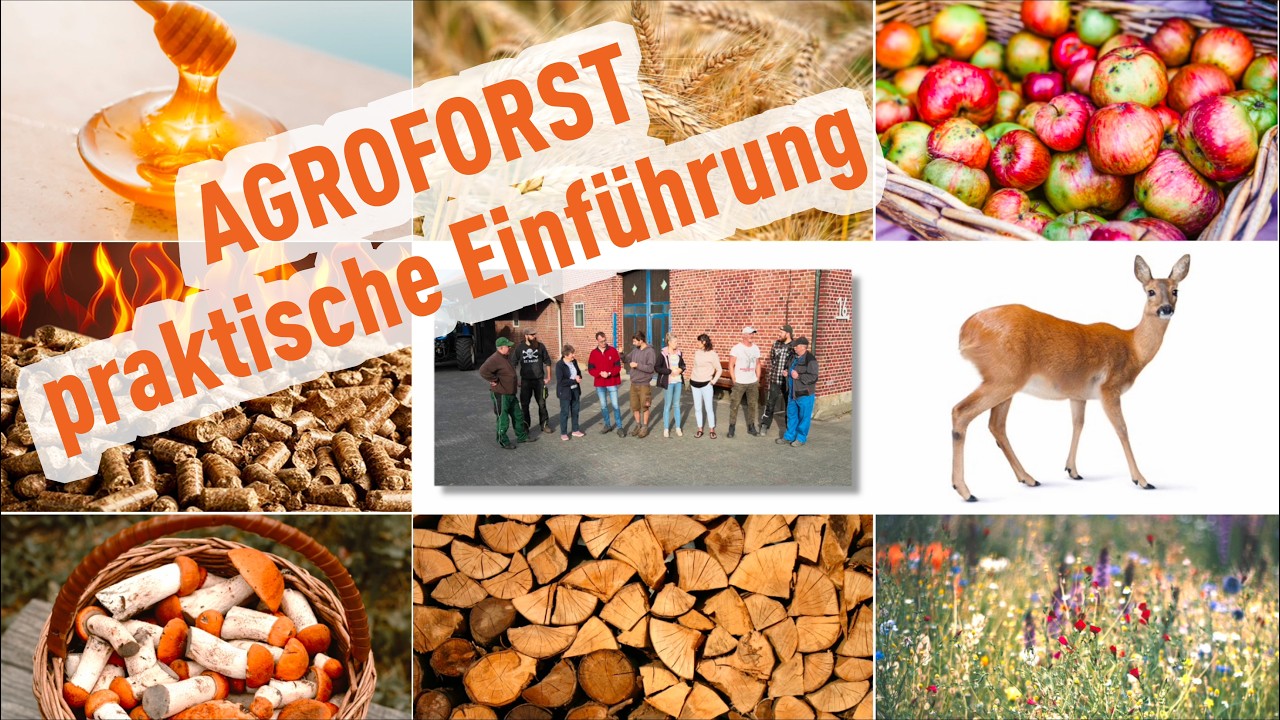 Praktische Einführung Agroforstwirtschaft / Dr. Christian Böhm / Filmreihe Bäume auf den Acker