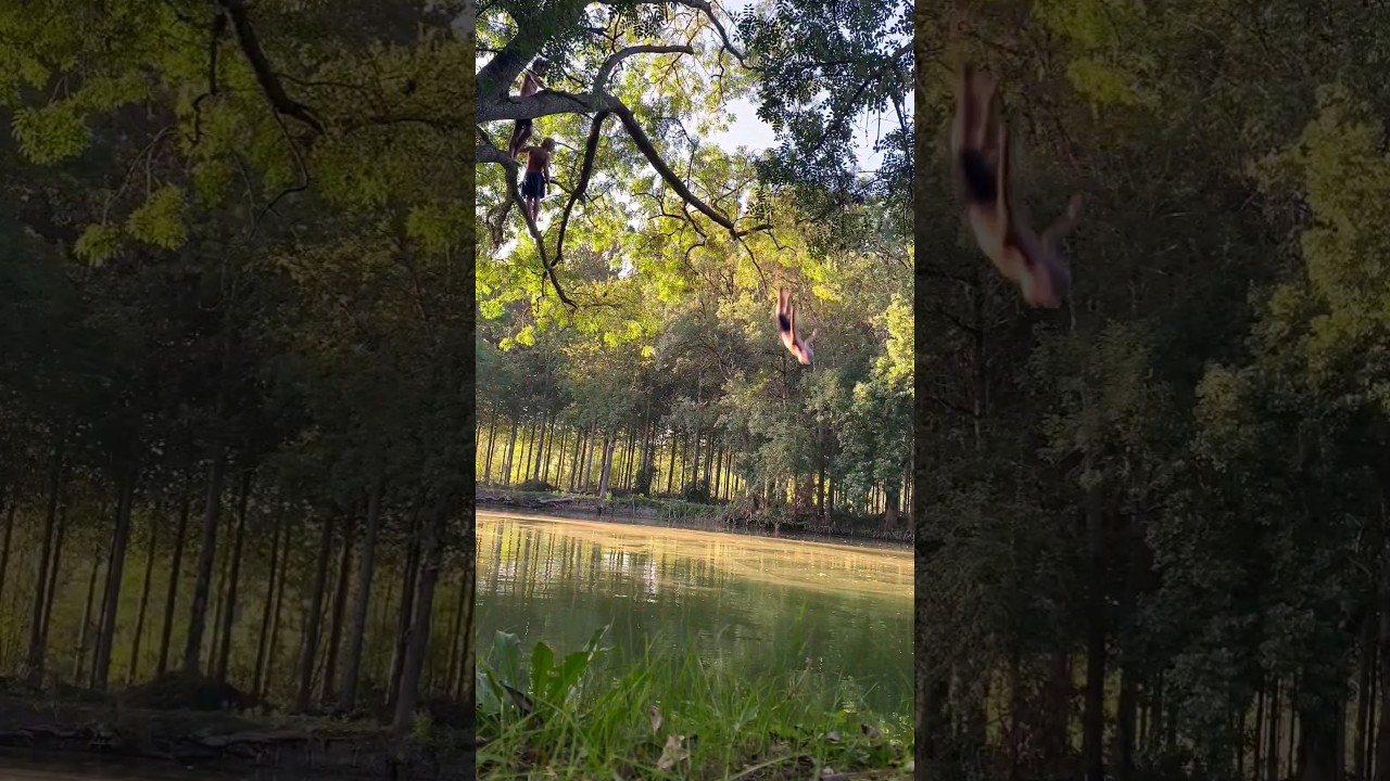 NEW PENGUIN DODS : GAINER FULL DODS 8M IG @saut.du.pingouin.64 #cliffdiving #dods #gainer #parkour