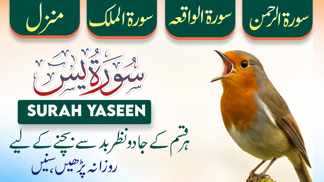 Manzil Dua 🌿 Surah Waqiah 🥀 Surah Rehman | Surah Yaseen | Surah Al-Mulk | Dua | Episode-364