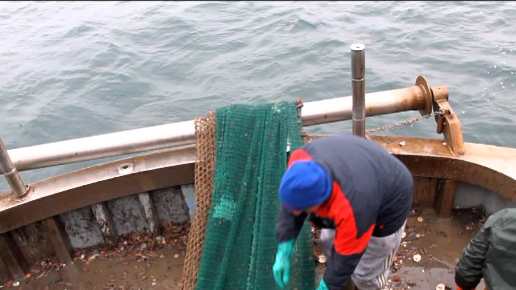 SemprePesce | Pesca a strascico invernale alle seppie e calamari