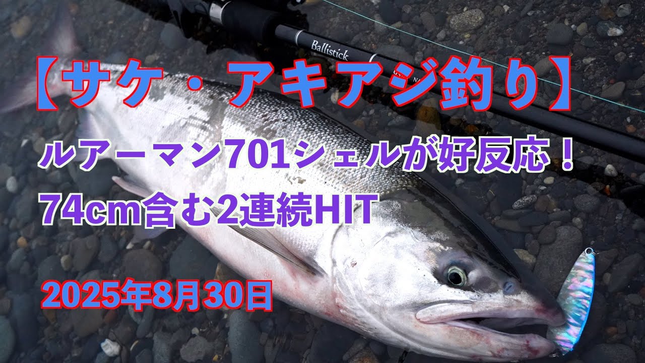 【サケ・アキアジ釣り】ルアーマン701シェルが好反応！74cm含む2連続HIT2025年8月30日