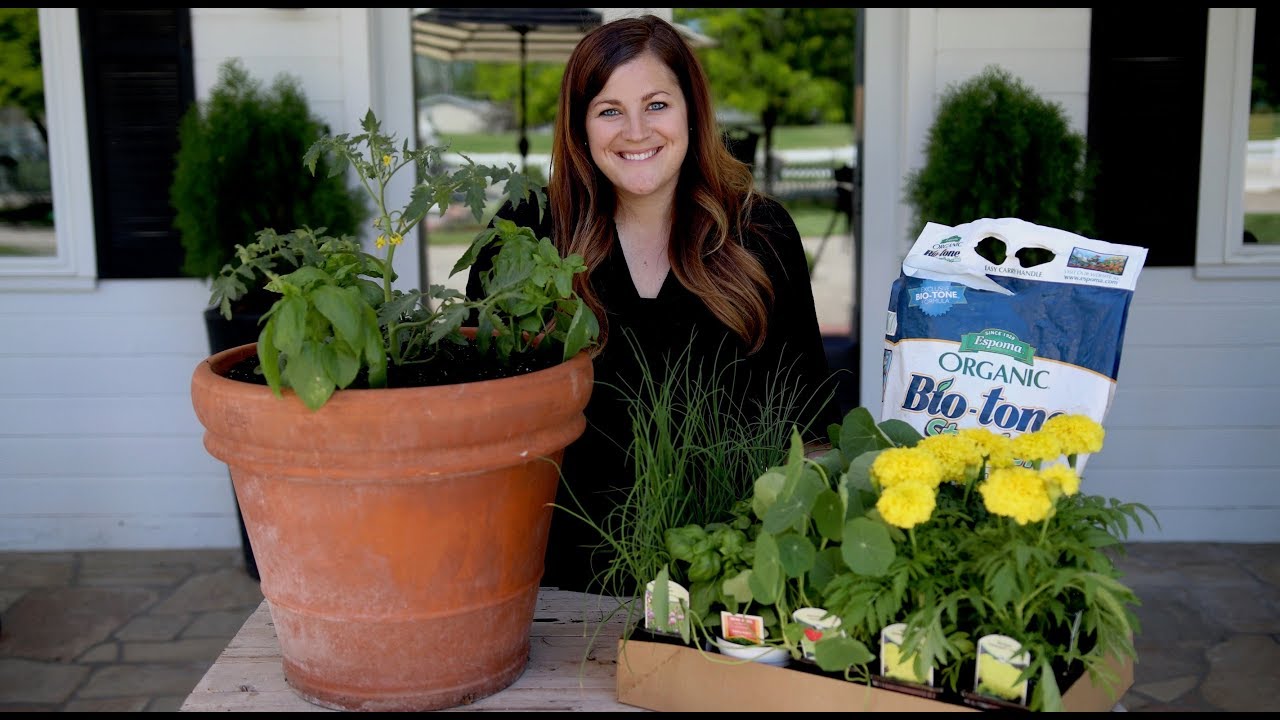 Companion Planting Basics 🌿🍅🥕 // Garden Answer