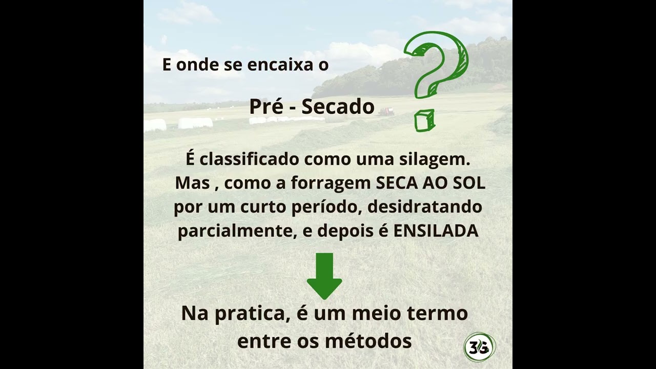 Ensilagem x Fena&ccedil;&atilde;o - m&eacute;todos de conserva&ccedil;&atilde;o de forrageiras e produ&ccedil;&atilde;o de feno e pr&eacute;-secado na 3G's