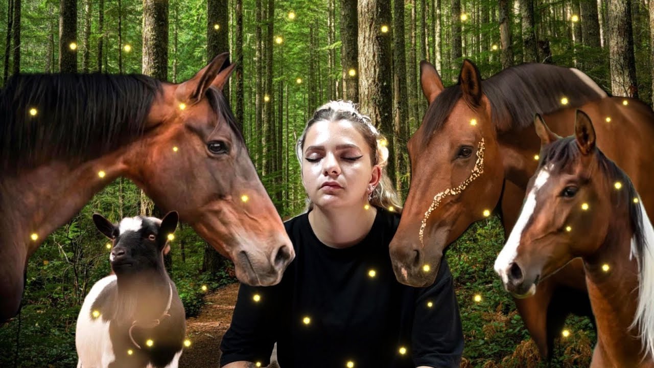 DANS UN STAGE DE COMMUNICATION ANIMALE AVEC MOI !