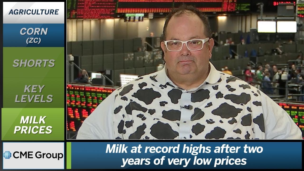 November 14 Grains Commentary: Scott Shellady