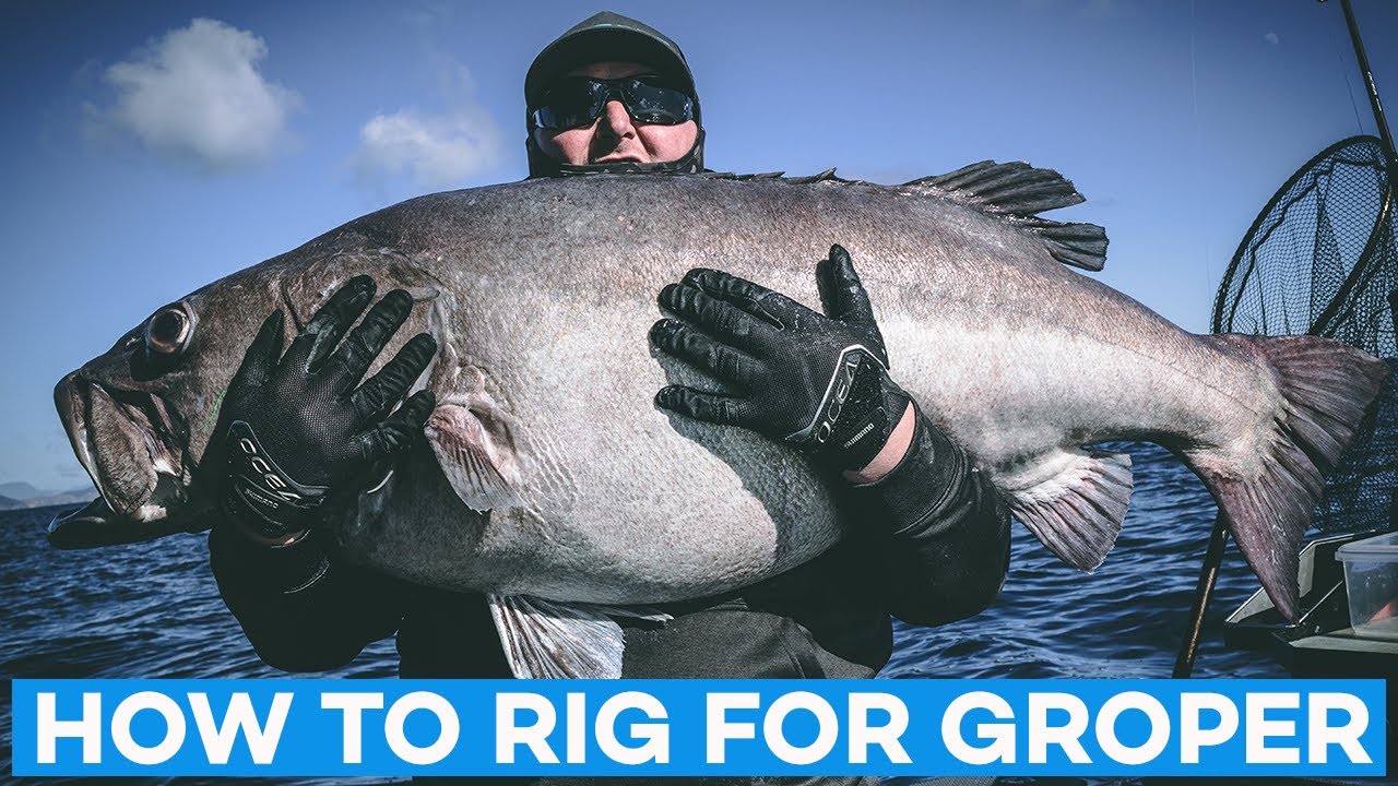 How To Rig for Groper