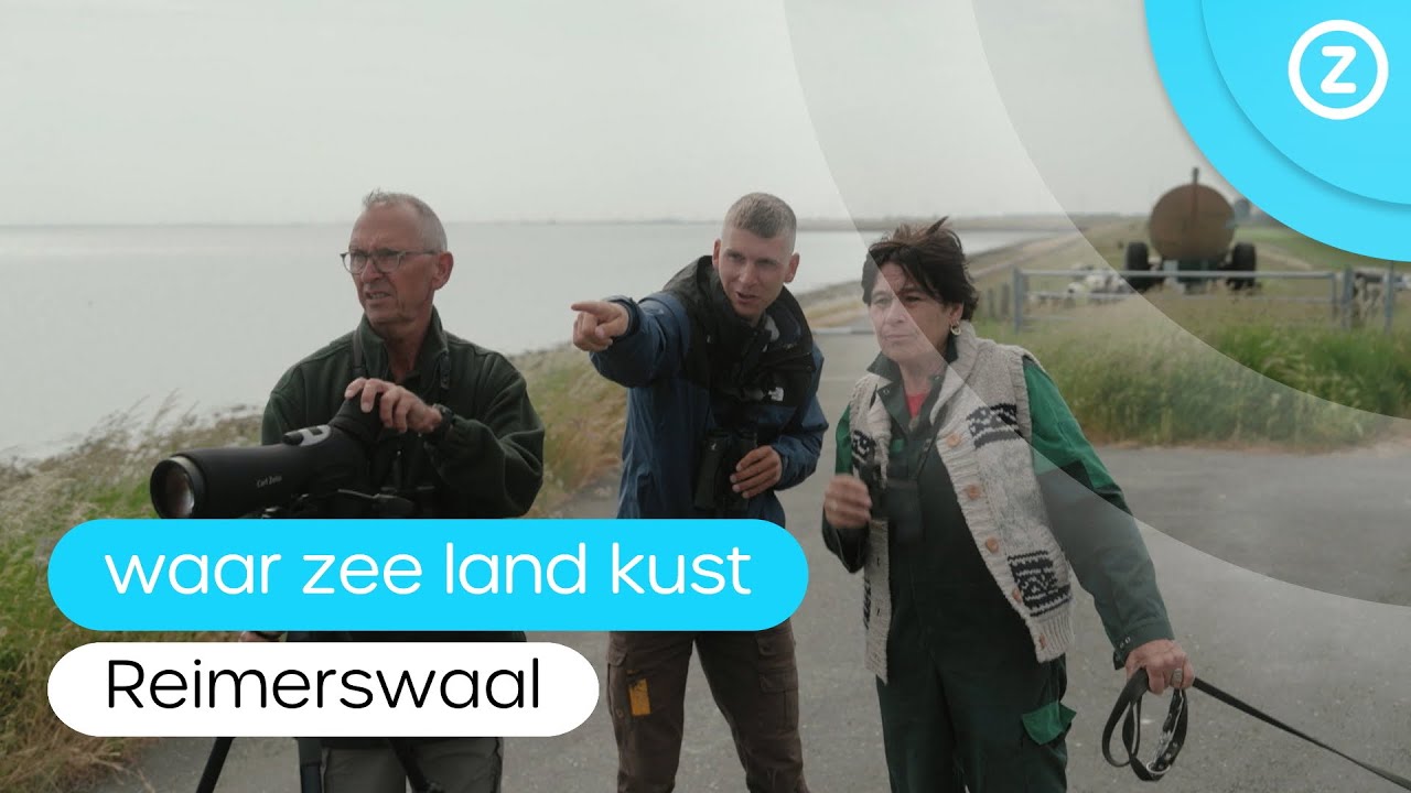 Waar zee land kust, Reimerswaal