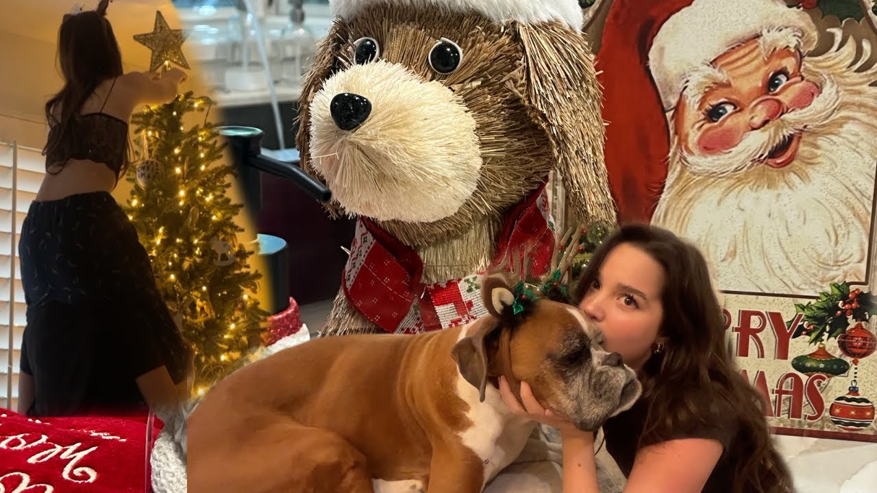 decorating for christmas vlog!!! | Jules LeBlanc