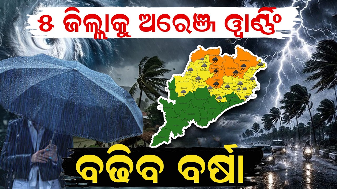 ବଢିବ ବର୍ଷା | Heavy Rain Alert| imd | today weather |Odisha Weather| weather news |Odia Newsroom