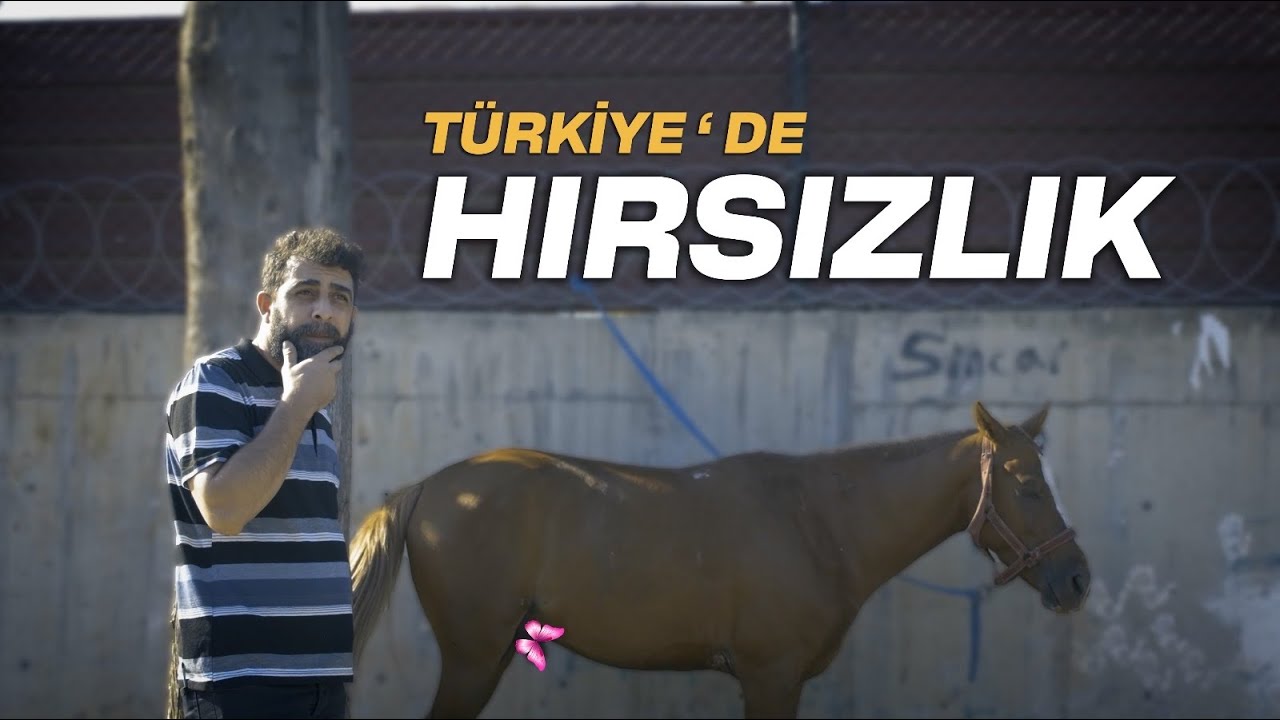 TÜRKİYE'DE HIRSIZLIK