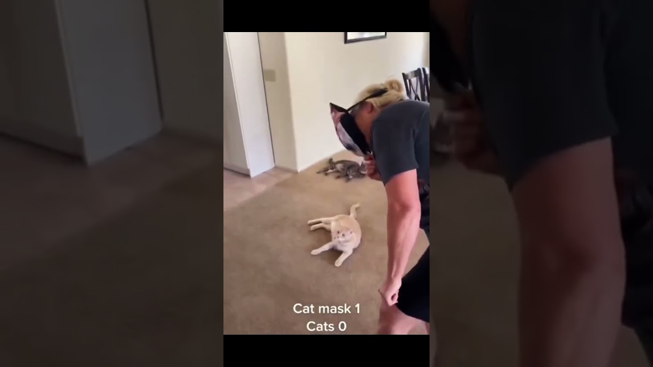 Cats vs Masks Compilation | Funniest Scaredy Cat Moments 2025 #shorts #catshorts #funny #cat #pets