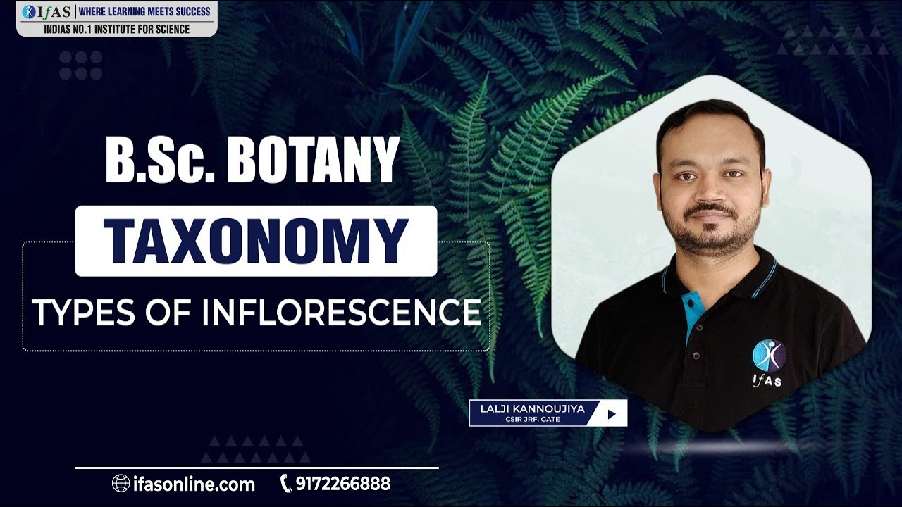 Botany | Types of Inflorescence