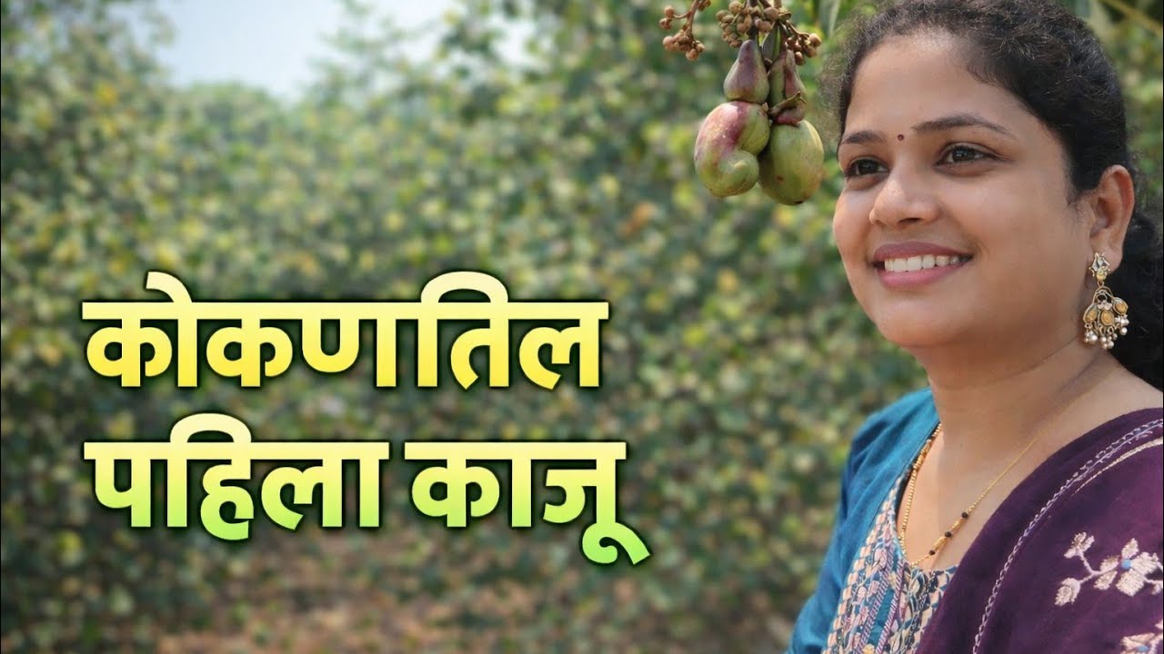 हे ठिकाण कुणालाच माहित नाही 😍 | Chocolate Factory मागची काजू बाग