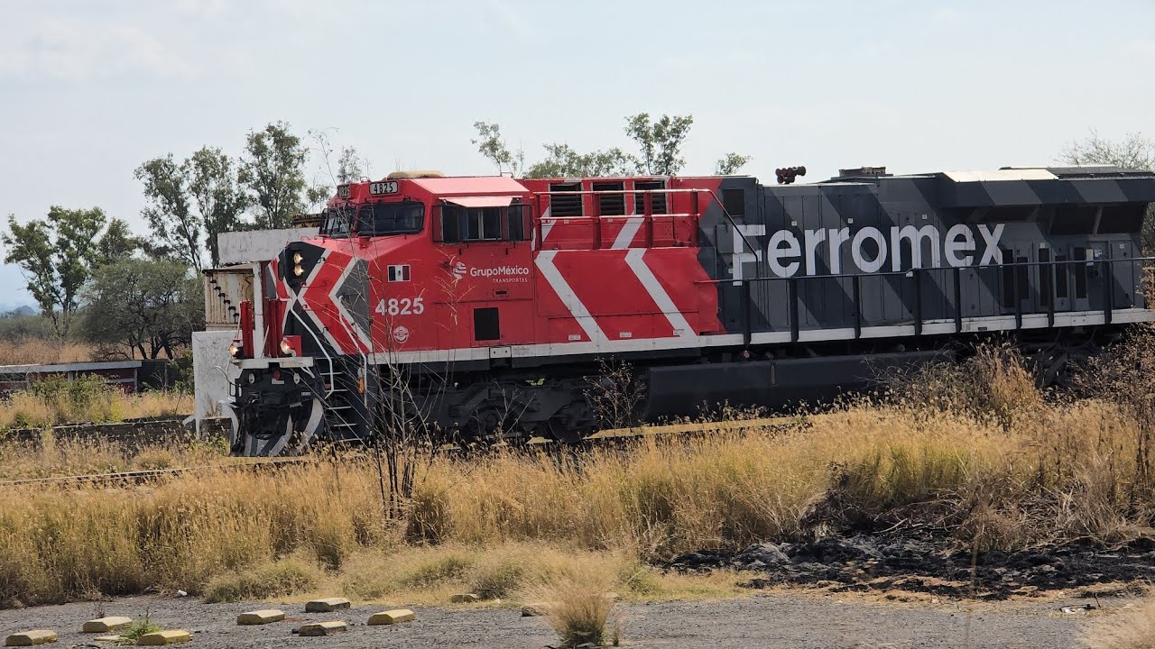 !!LOS MEJORES TRENES DE ENERO EN EL DISTRITO LEON A TODA VELOCIDAD!!