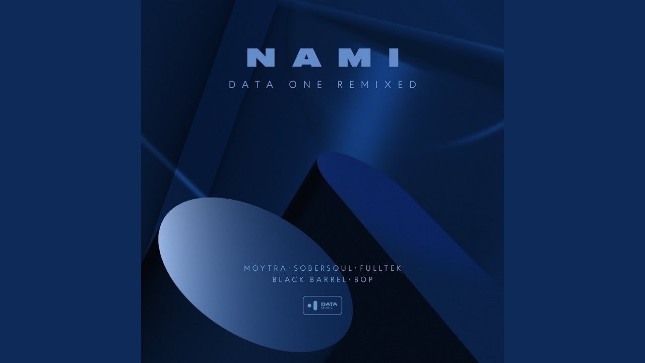 Data One (Moytra Remix)