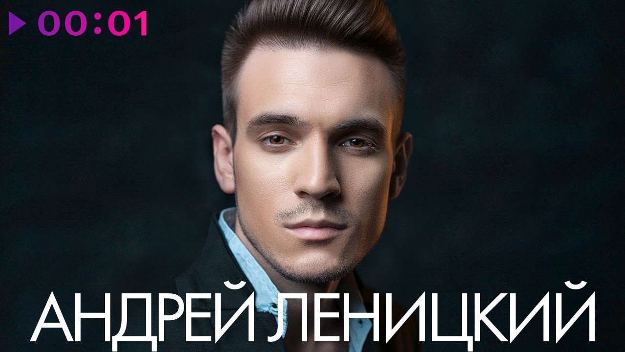 Андрей Леницкий - Лучшие песни - The Best