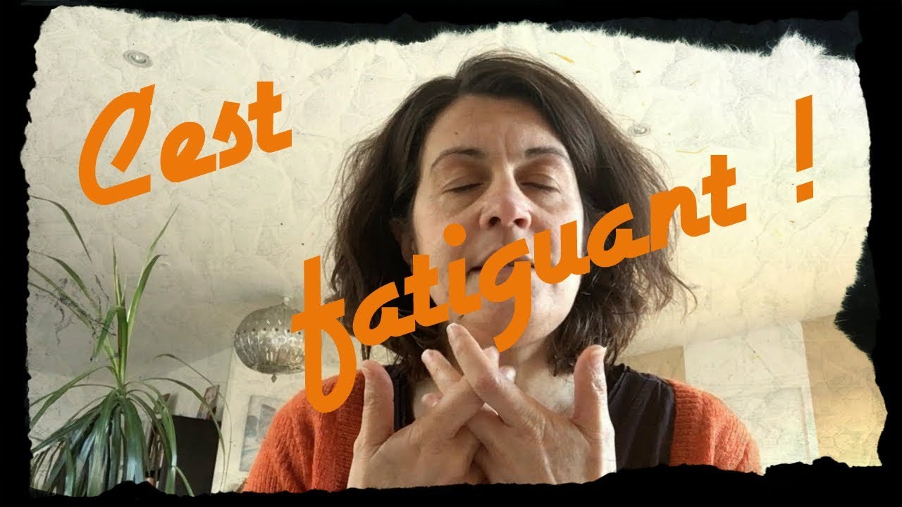 Un cerveau de zèbre : c'est fatigant !