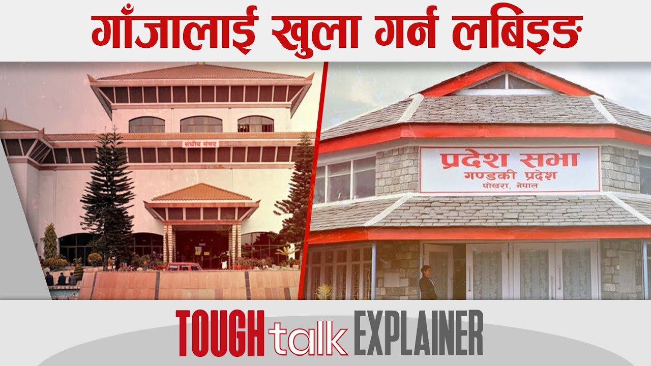 गाँजालाई खुला गर्न लबिइङ || TOUGH talk Explainer ||