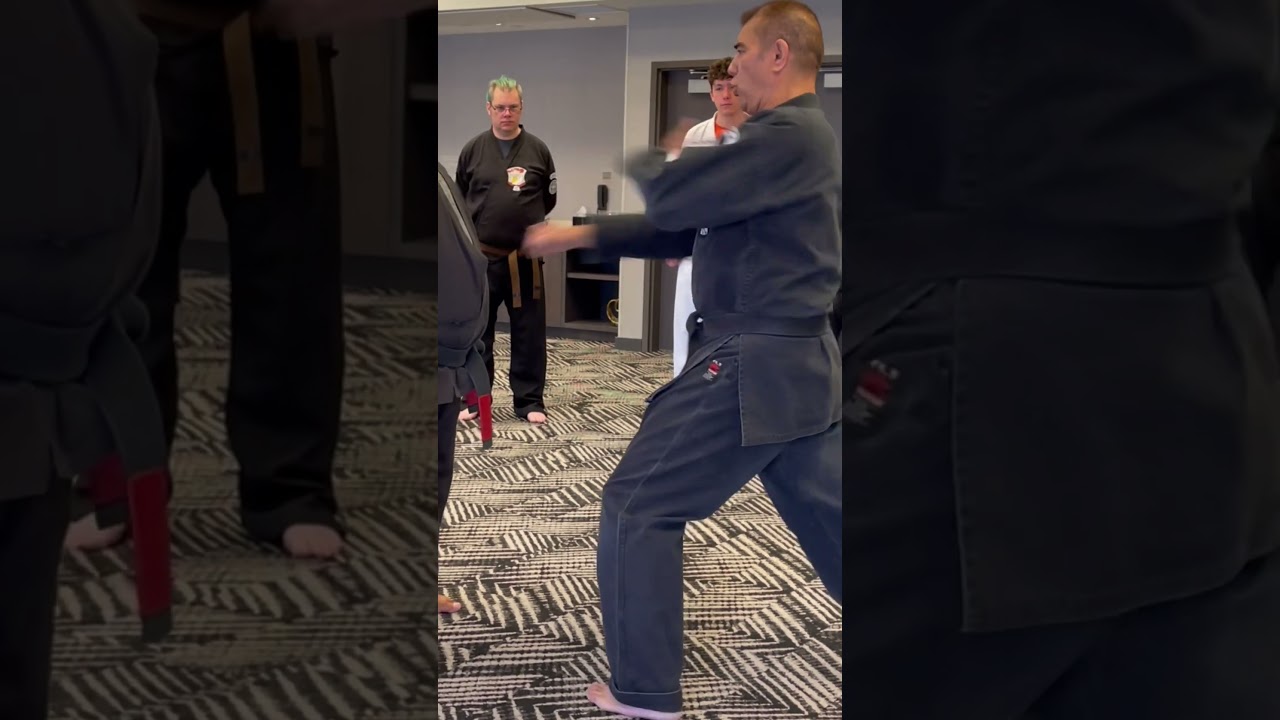 Motion has specific principles to enhance the effect. #kenpo #motionscience #karate #martialarts