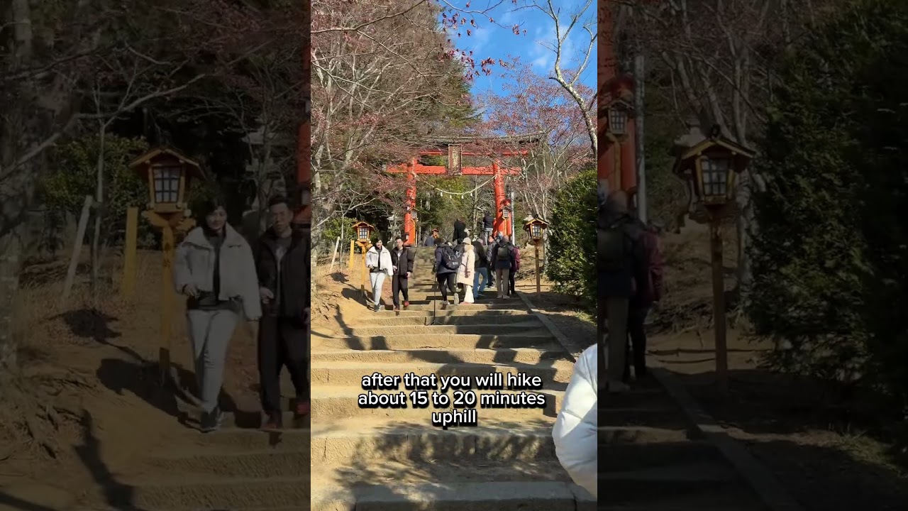 How to get to Mt Fuji for only $30!   ☺️🌸#japan #travel #traveltips #tokyo #mtfuji #fuji
