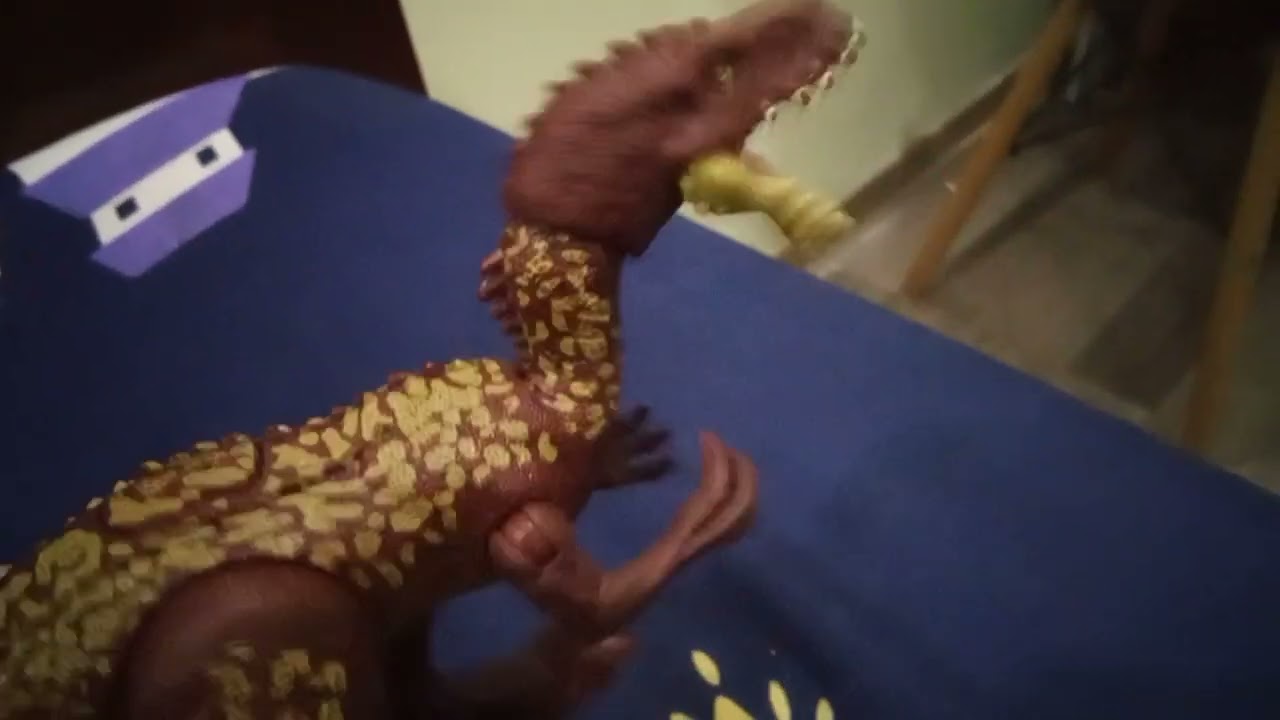 Tôi review hot wheels monster truck và jurassic world 