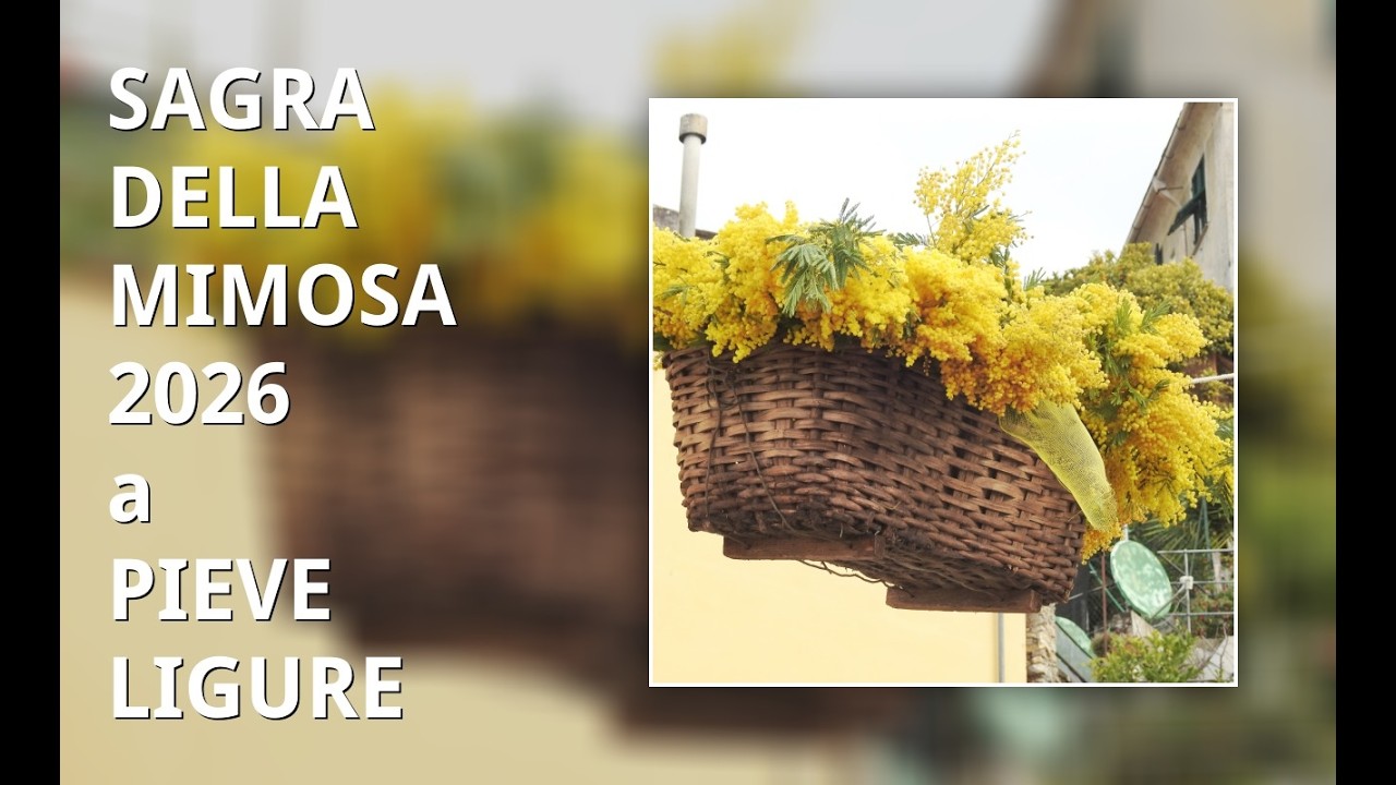 SAGRA DELLA MIMOSA 2026