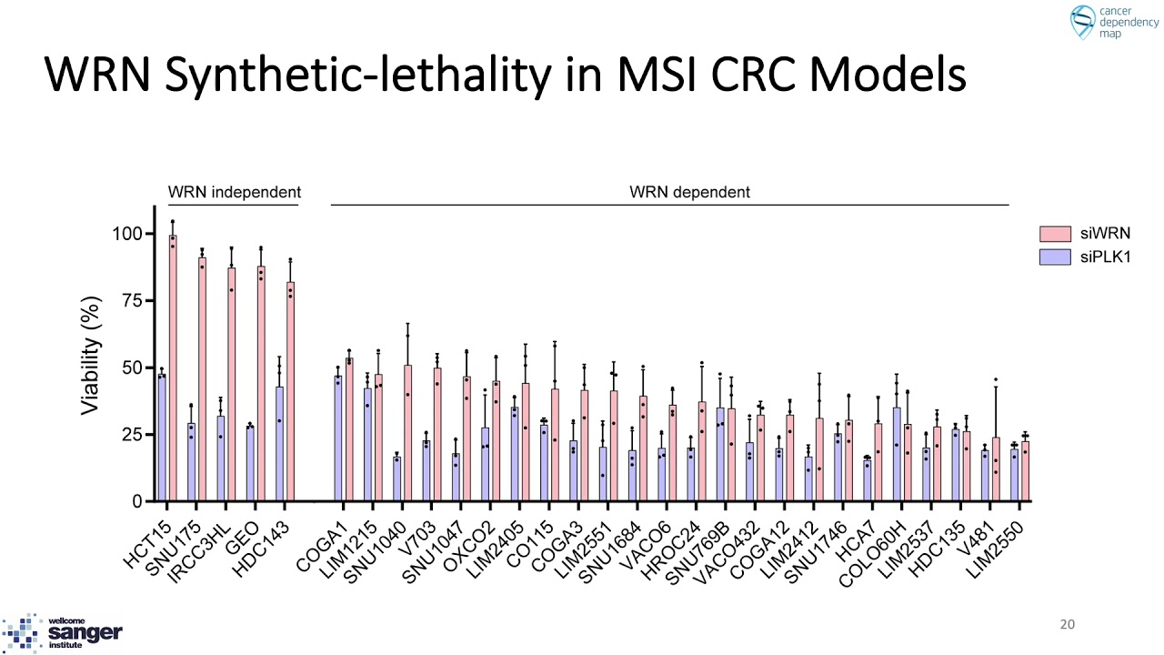 Cancer Dependency Mapping to Guide Drug Discovery