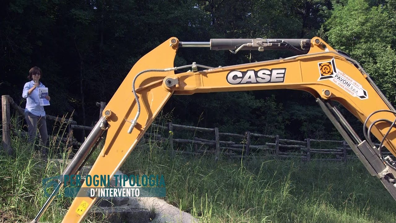 LA PROFESSIONE DEL DOTTORE AGRONOMO E DEL DOTTORE FORESTALE