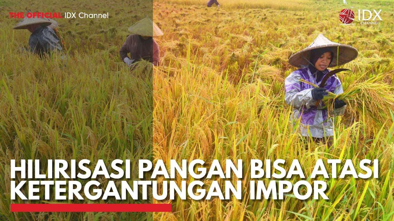 Hilirisasi Pangan Bisa Atasi Ketergantungan Impor | IDX CHANNEL