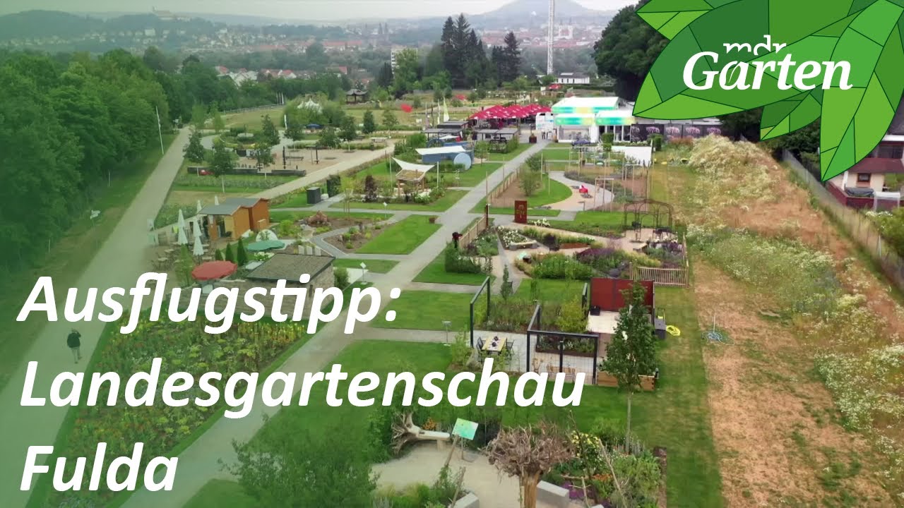 Landesgartenschau Fulda: Darum lohnt sich ein Besuch in Hessen | MDR Garten