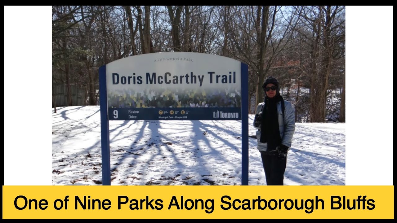 From Doris McCarthy Trail | Scarborough Bluffers Park & Lake Ontario | Frosted Rip Rap | Cinematic