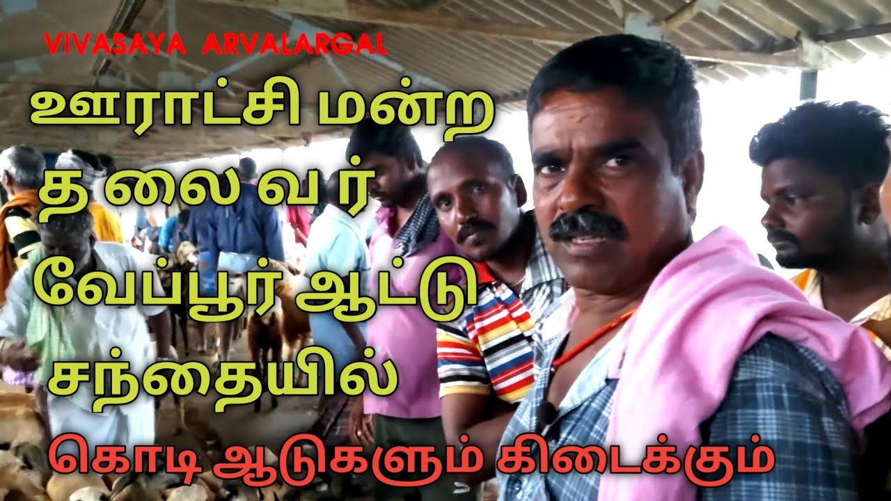 இங்கு குறைந்த விலையில் வளர்ப்பு ஆட்டு குட்டிகள் கிடைக்கும் | வேப்பூர் ஆட்டு சந்தை| #goatmarket #goat