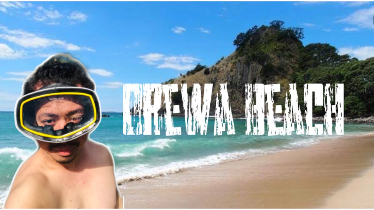Discover Hibiscus coast/ Orewa beach