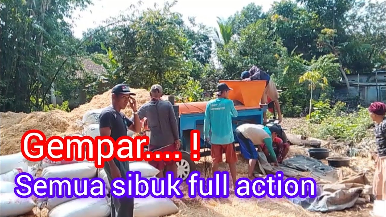 Semau pada sibuk joooss #viralvideo #fypシ゚viral #blowerjagung 